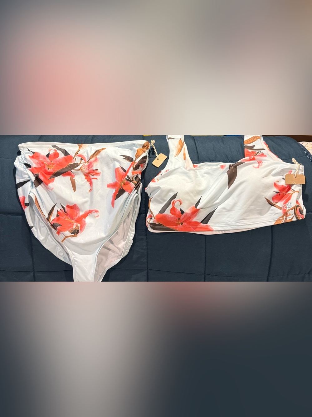 Albion Bikini - Olivia Swim Crop and High Rise Bottoms
